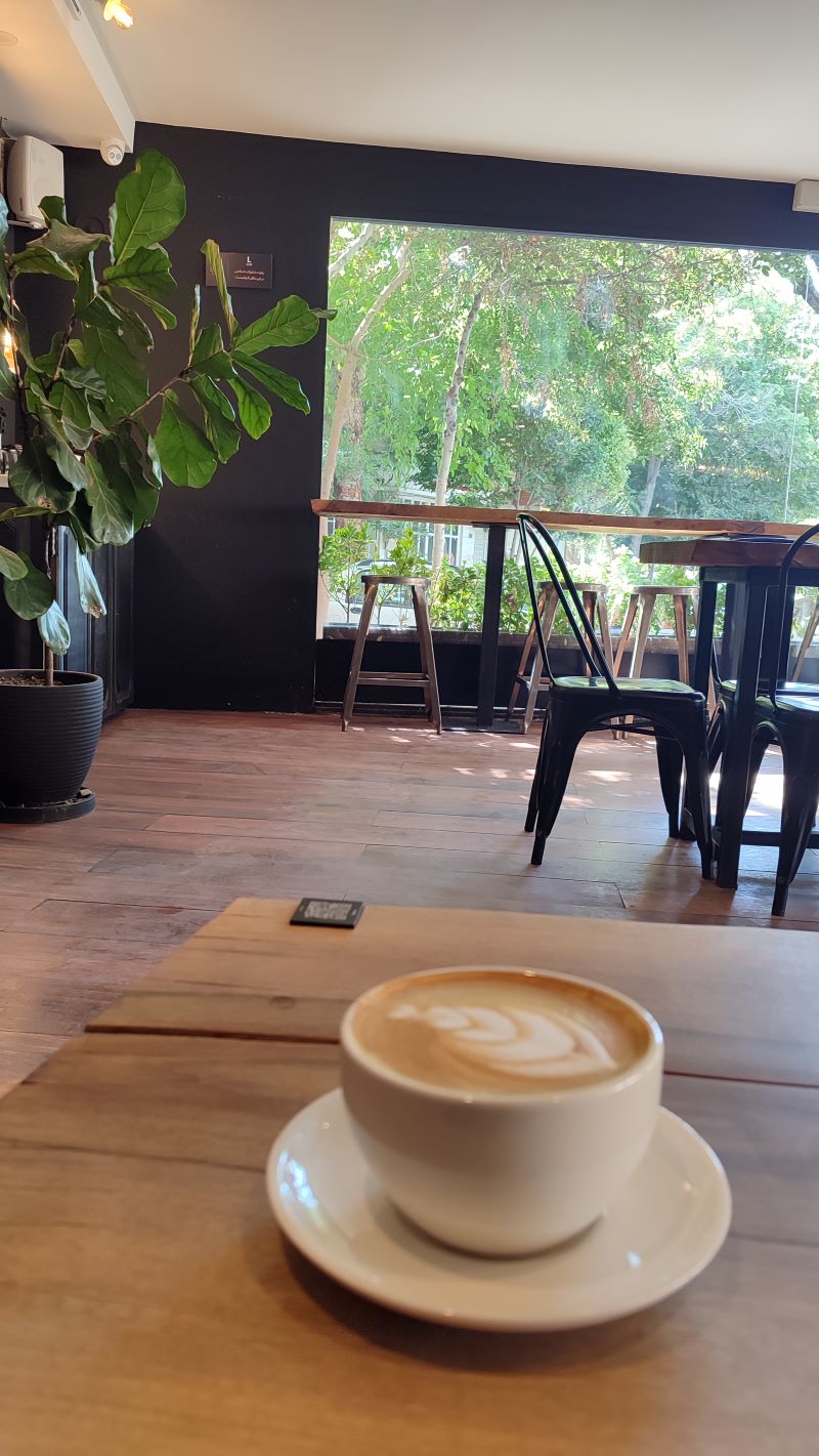 Digital nomad working from cafe Iran 2026