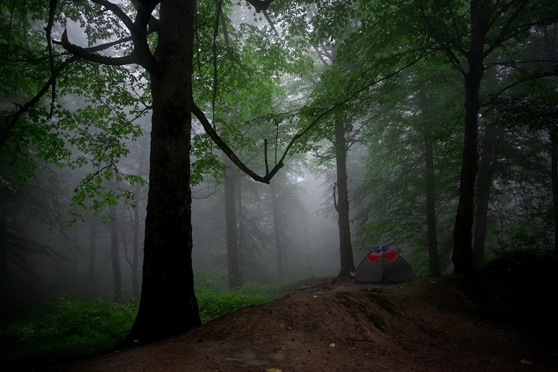 Iran jungle ecotourism northern forests
